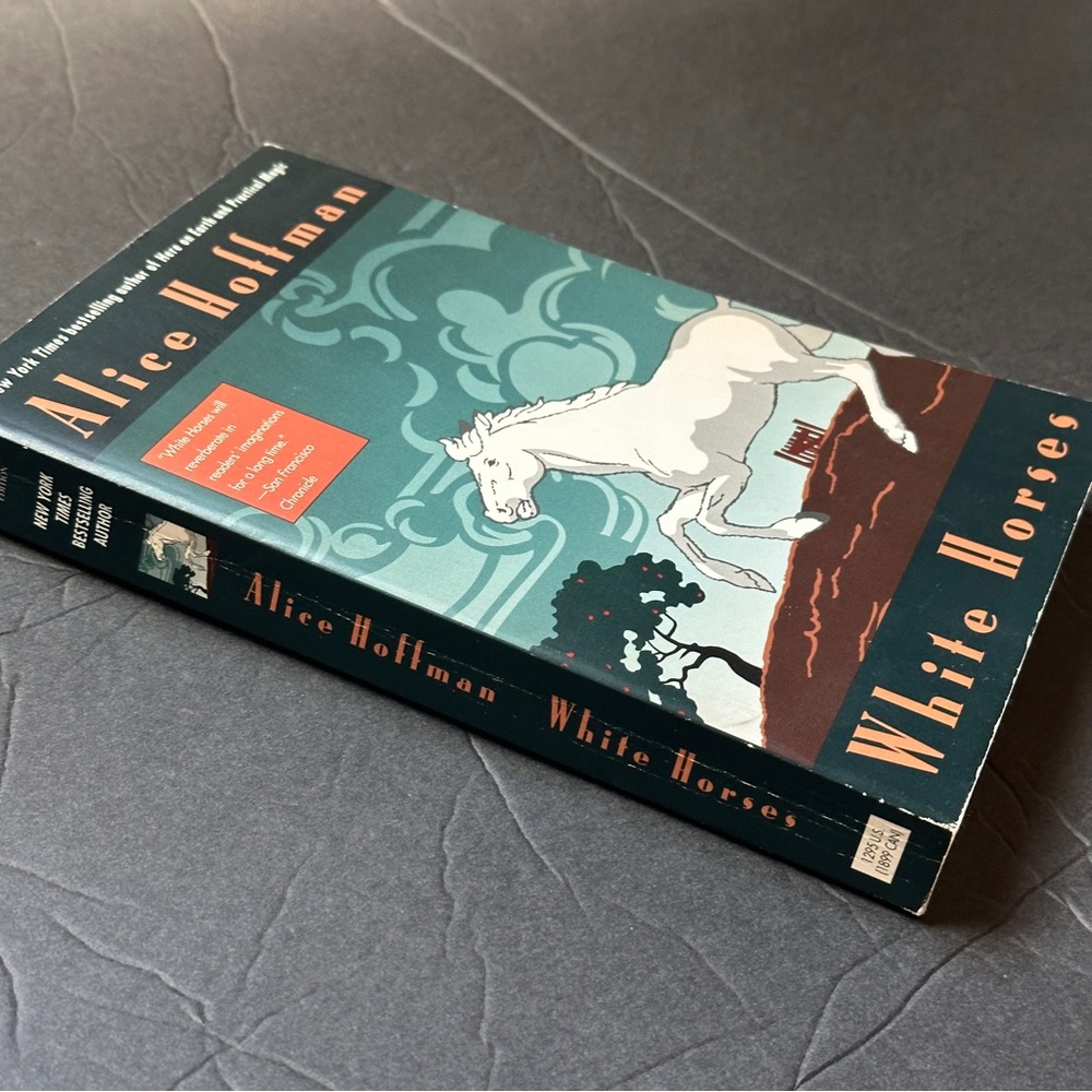 2 BOOK BUNDLE by Alice Hoffman | Fiction | Paperback Book (s) - Picture 3 of 9